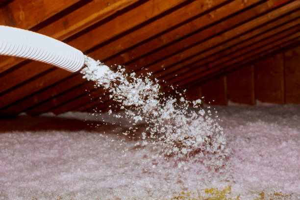 Best Fiberglass Insulation  in La Feria, TX