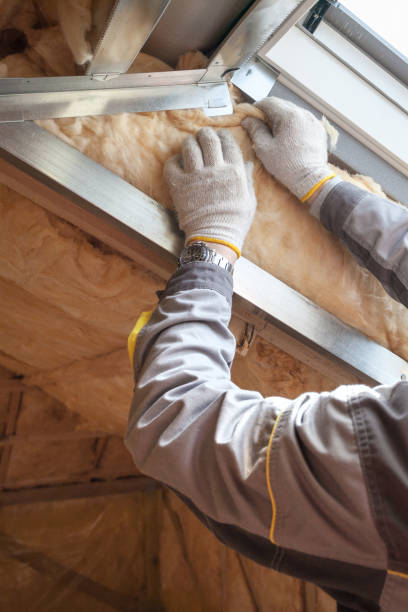Best Spray Foam Insulation  in La Feria, TX