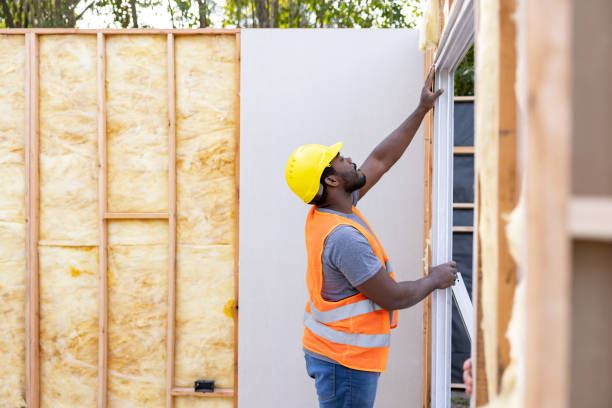 Best Insulation Replacement Services  in La Feria, TX