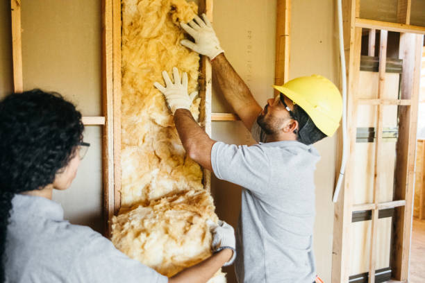 Best Commercial Insulation Contractor  in La Feria, TX