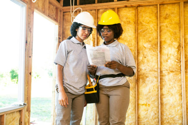 Best Best Insulation Companies  in La Feria, TX