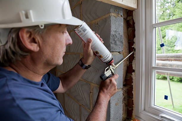 Best Insulation Removal  in La Feria, TX