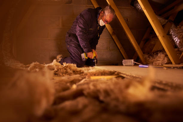Best Local Insulation Services  in La Feria, TX